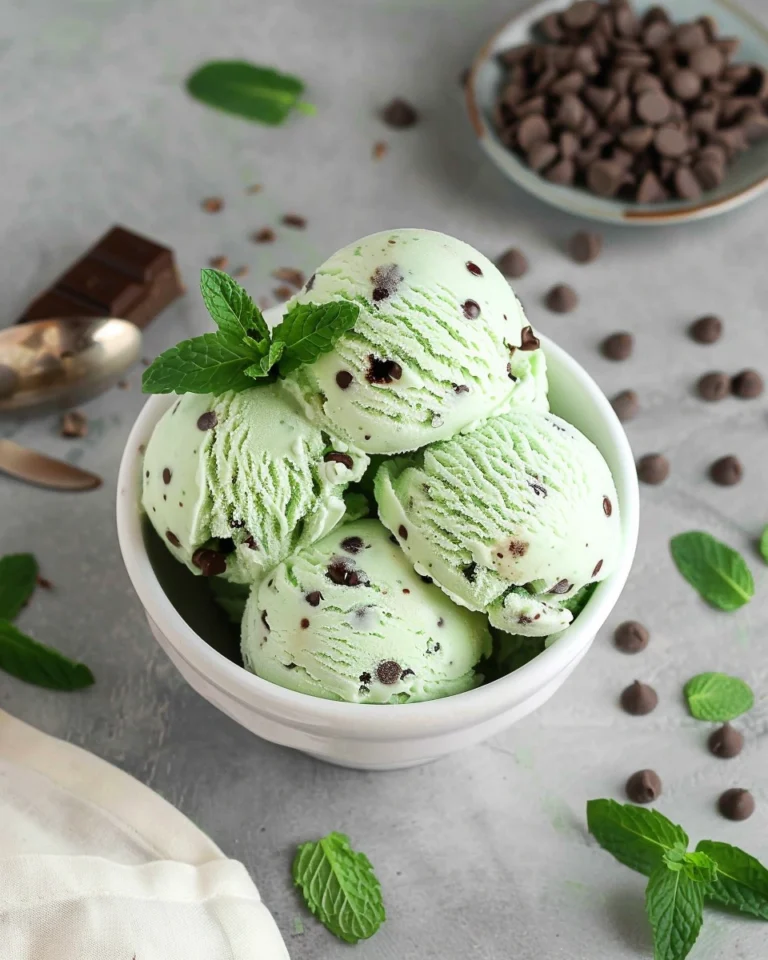 Vegan Mint Chocolate Chip Ice Cream